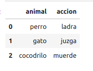 data table about animals and their actions